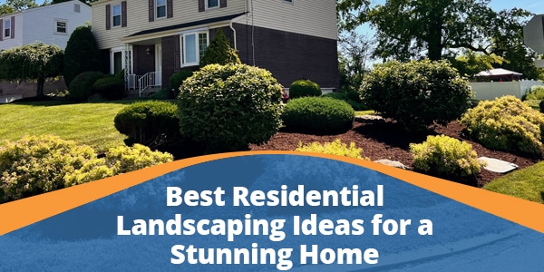 residential landscaping