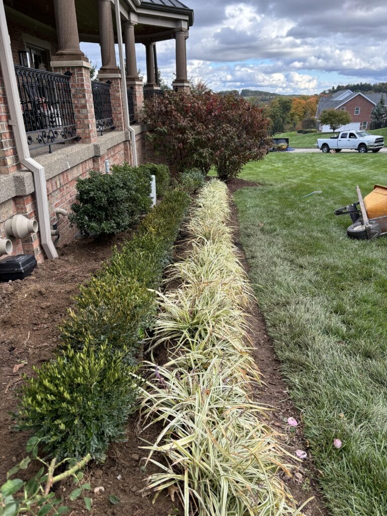 Top Sod Installation Tips for a Lush, Green Lawn