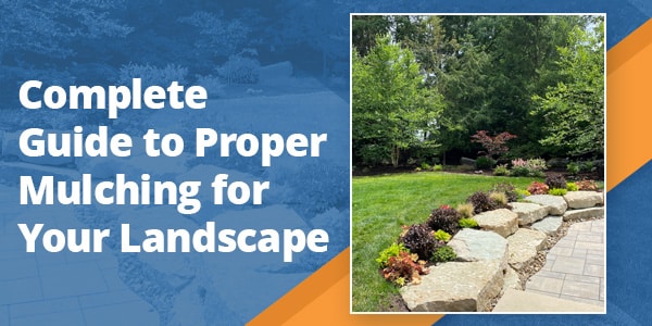 Complete Guide to Proper Mulch Installation for Your Landscape